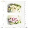 hiacynt, hiacynty, kwiat, wiosenne kwiaty, ogród, łąka, wiosna, hyacinth, hyacinths, flower, spring flowers, garden, meadow, spring, Hyazinthe, Hyazinthen, Blume, Frühlingsblumen, Garten, Wiese, Frühling, jacinto, jacintos, flor